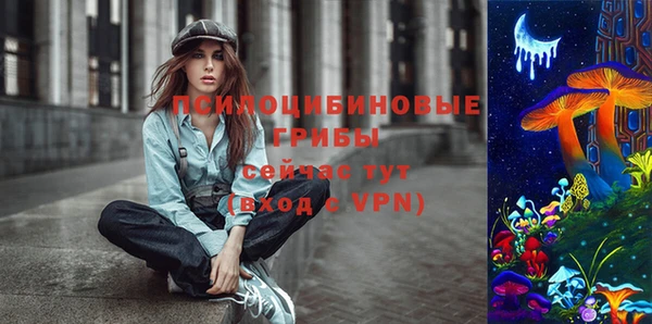 spice Киреевск
