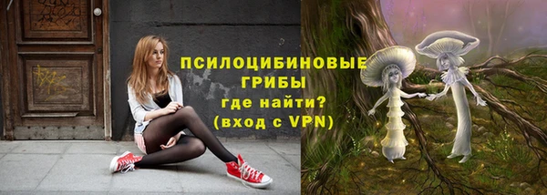 spice Киреевск