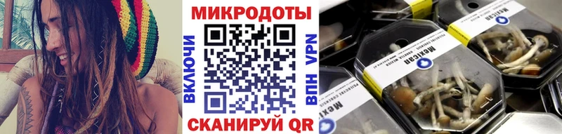 Галлюциногенные грибы прущие грибы  Купить  Катав-Ивановск 